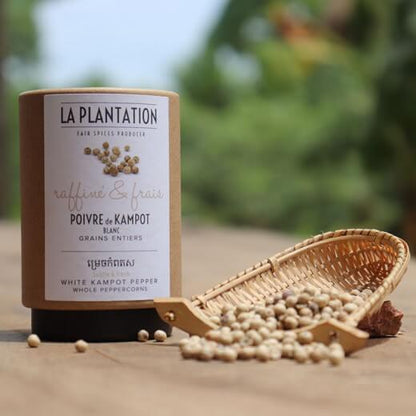 Baltieji Kampot pipirai